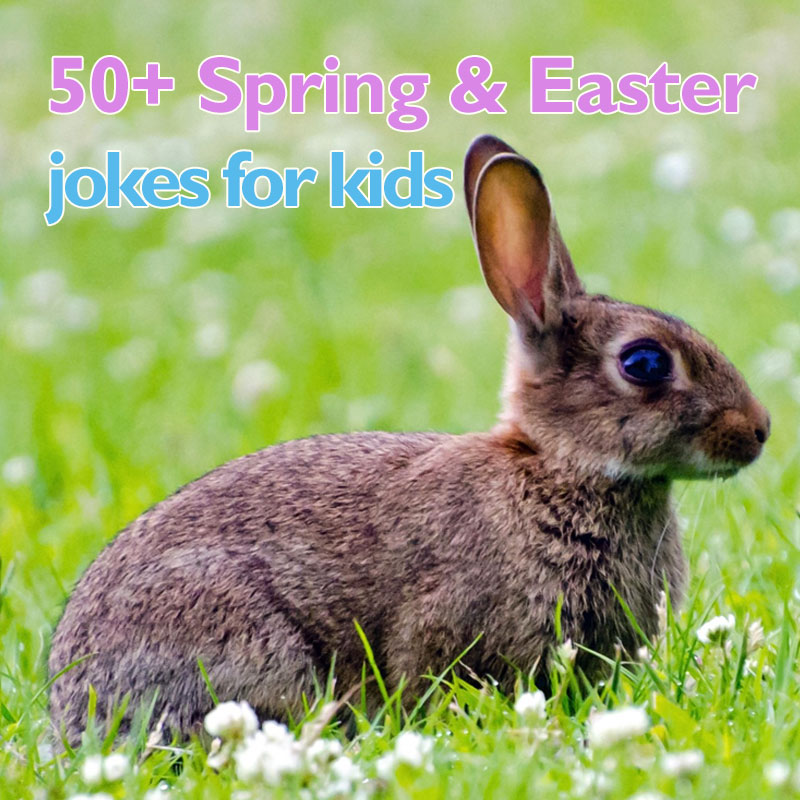 50+ Spring and Easter Jokes for Kids