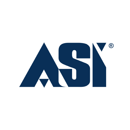 ASI American Strategic Insurance logo